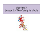 Lesson 2 – Carbohydrates