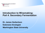 Secondary Fermentation: Malolactic Fermentation