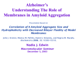 Correlation of β-Amyloid Aggregate Size and Hydrophobicity