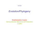 Evolution/Phylogeny