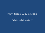 Plant Tissue Culture Media - Horticultural Sciences at