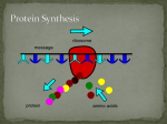 DNA - Mr. Johnston's Biology Site