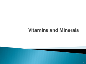 Vitamins and Minerals - Westminster Kingsway College