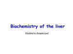 Biochemistry of the liver - Univerzita Karlova v Praze