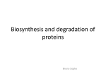 Biosynthesis and degradation of proteins