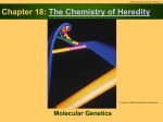 Chapter 1: An Introduction to Chemistry