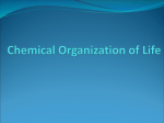 Chemical Organization of Life