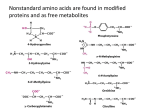 Amino acids have many roles in living organisms