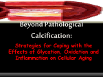 Beyond Pathological Calcification