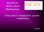 Nucleotides