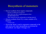 Biosynthesis of monomers