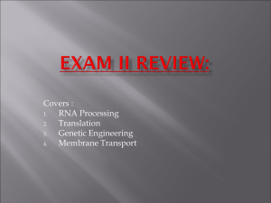 Exam II Review: - Texas Tech University