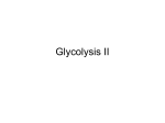 Glycolysis II