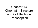 Chapter 13 Chromatin Structure and its Effects on