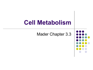 Cell Metabolism - Buffalo State College Faculty and Staff