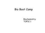 Bio Boot Camp - Tredyffrin/Easttown School District