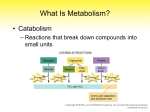Spotlight on Metabolism