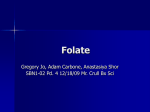 Folate