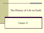 Chapter 25 The History of Life on Earth