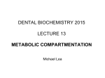 METABOLIC COMPARTMENTATION