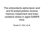 The antioxidants alpha-lipoic acid and N
