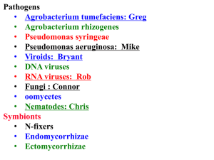 Bio 226: Cell and Molecular Biology