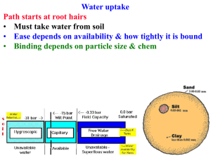 Bio 226: Cell and Molecular Biology