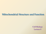 Cell Chemistry