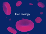 Cell Biology