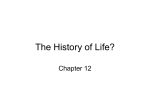 The History of Life