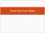 Food and Your Body