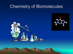 Bio Chap 2 Biomolecules