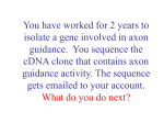 You have worked for 2 years to isolate a gene involved in axon