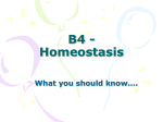B4 - Homeostasis