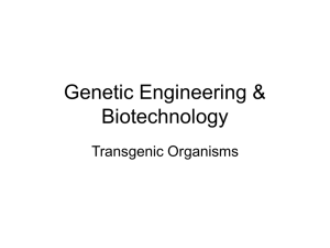 Genetic Engineering & Gene Therapy