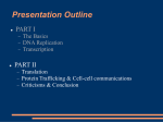 Central Dogma of Molecular Biology