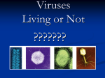 Viruses Living or Not