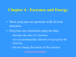 Chapter 4 Enzymes and Energy