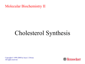 Cholesterol Synthesis