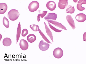 Symptoms of Anemia Pale skin, mucous