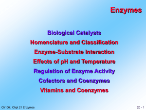 Enzyme Catalysis - faculty at Chemeketa