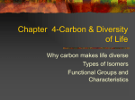 Chapter 4-Carbon & Diversity of Life