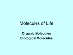 Molecules of Life