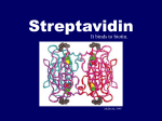 Streptavidin - OpenWetWare