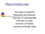 Macromolecules