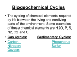 Biogeochemical Cycles