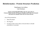 BioInformatics - Protein Structure Prediction Summer Studentship