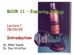 1 Introduction BCOR 11