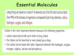 Biological Molecules