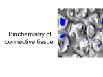 Biochemistry of connective tissue